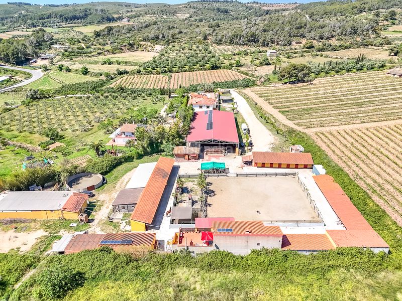 Foto 5f525828-bd5b-42ea-b4b2-fee4bbb0653c. Finca rústica a Bonastre