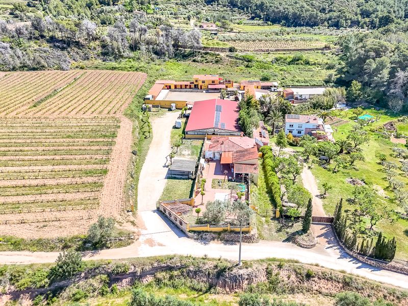 Foto 6d1624c8-f61f-43a1-a819-caa6e3015e7d. Finca rústica a Bonastre