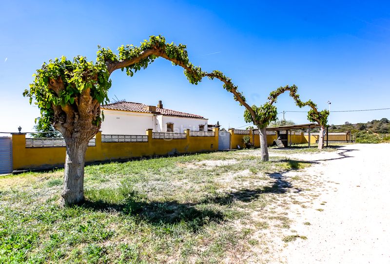 Foto b663cbee-2345-4b60-bab3-f58c3828f513. Finca rústica a Bonastre
