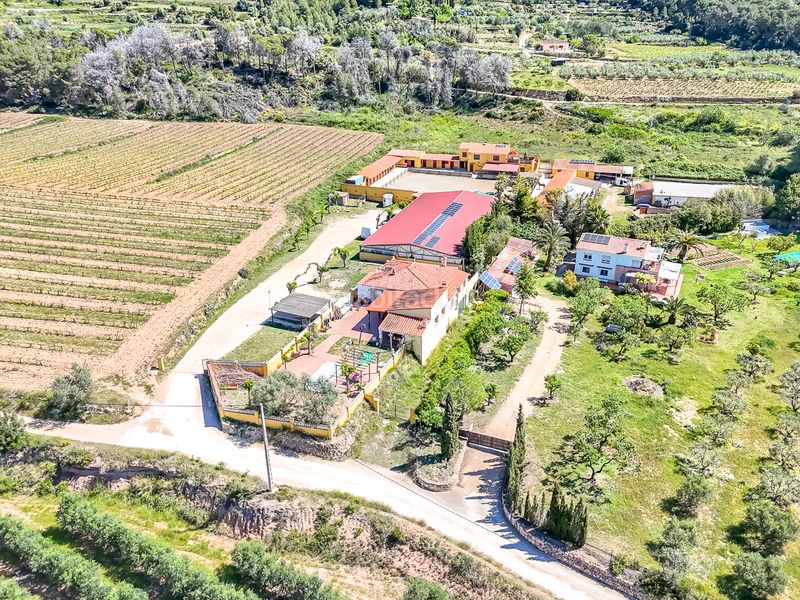 Foto b77c44c7-2c43-4af6-aa65-8cbca701b88d. Finca rústica a Bonastre