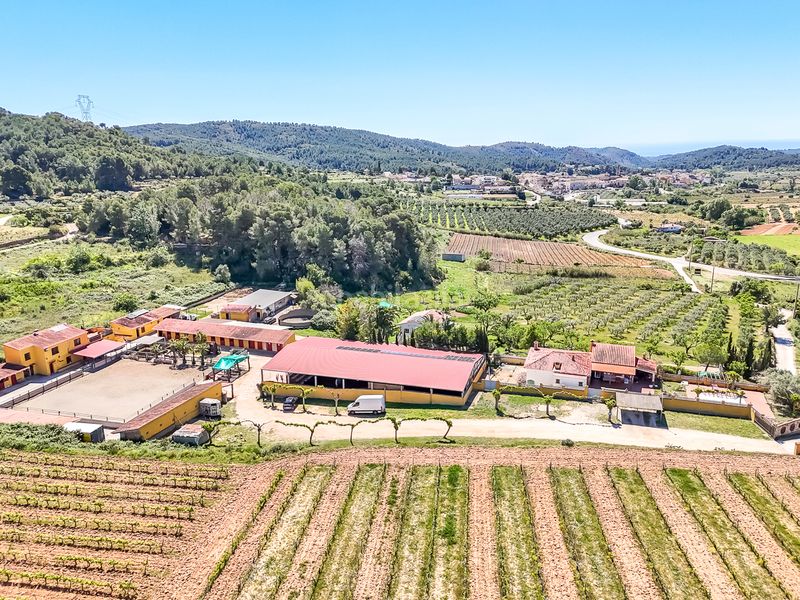 Foto eedce8ad-3aa1-4e62-9e66-17665c41f476. Finca rústica a Bonastre