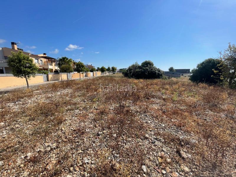 Foto c8569f66-3f12-47cc-bc13-b23c59294b08. Terreno residenziale in carrer pegaso 1 in Roda de Barà