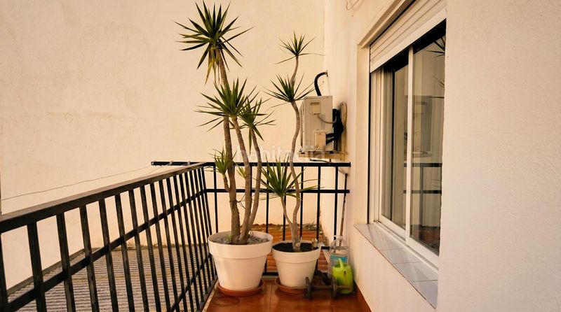 Foto cc568181-132d-47f2-ac89-06face955af8. Pis a Llombai Burriana