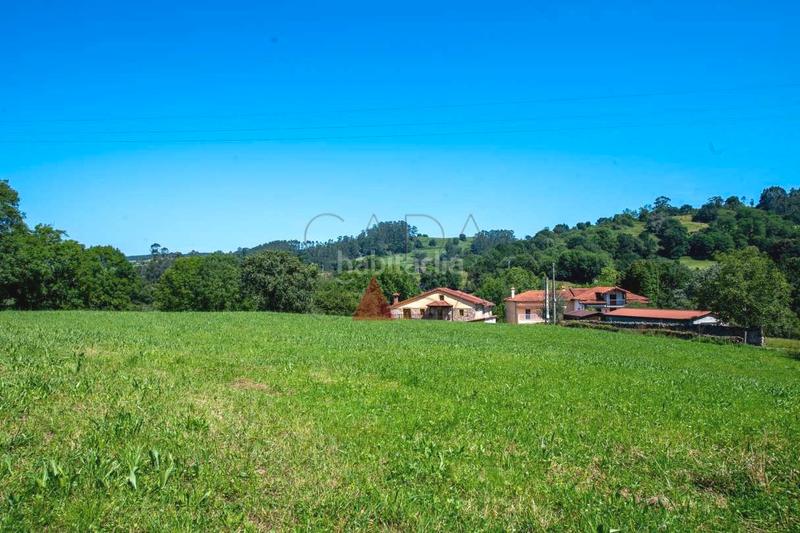 Foto 43c31a40-64be-4141-ba9a-4d5053f3cdec. Casa  independiente en riaño en Ruesga