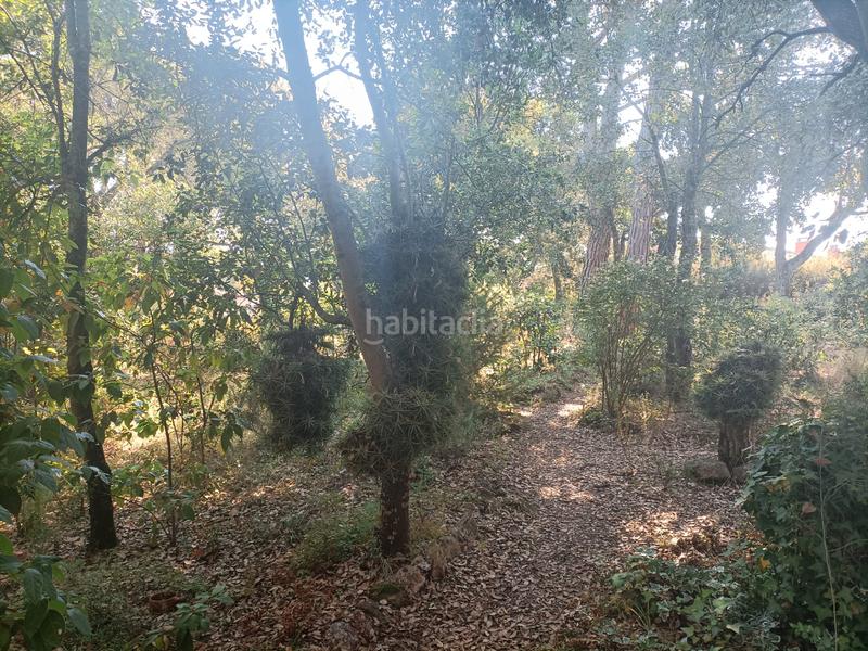 Foto 0b4db16c-5996-4800-89e2-7b29330efa76. Alquiler chalet en carretera santa cristina d'aro 138 chalé en solius, santa cristina d'aro, costa brava, alquiler temporal en Platja d´Aro