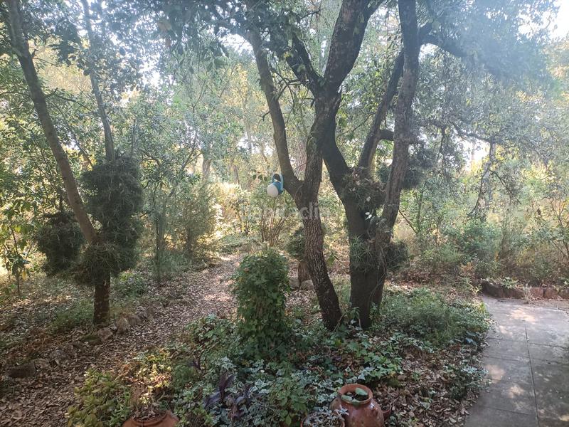 Foto 789c7715-b866-4eb3-863c-2081cdcf0f38. Alquiler chalet en carretera santa cristina d'aro 138 chalé en solius, santa cristina d'aro, costa brava, alquiler temporal en Platja d´Aro