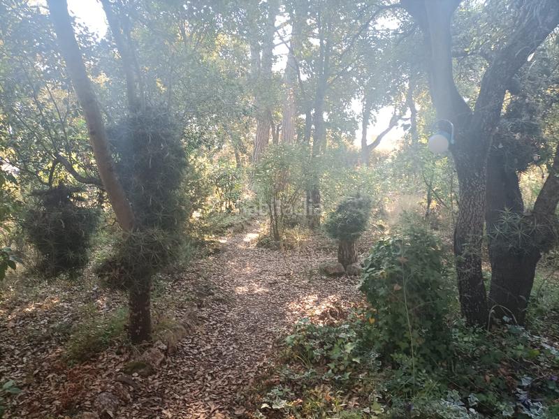 Foto db2cfb57-b93e-43d0-ae4e-6d83a7dee88b. Alquiler chalet en carretera santa cristina d'aro 138 chalé en solius, santa cristina d'aro, costa brava, alquiler temporal en Platja d´Aro