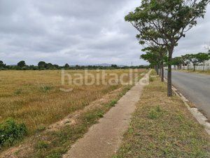 Foto ebdb3403-c83c-4c24-bfdc-f549f8d55bd9. Area edificabile industriale in Arboç (L´)