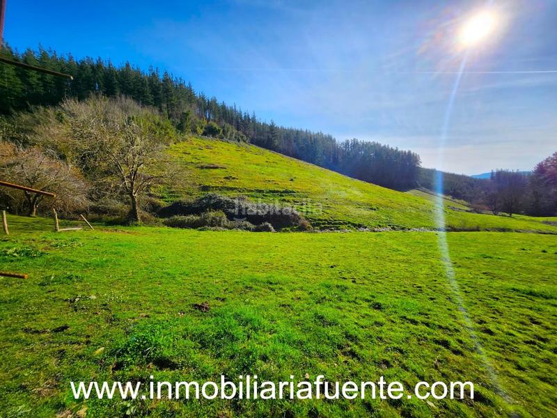 Foto 01a577bc-e0a1-4643-8624-3d171a18e04e. Finca rústica a Zalla
