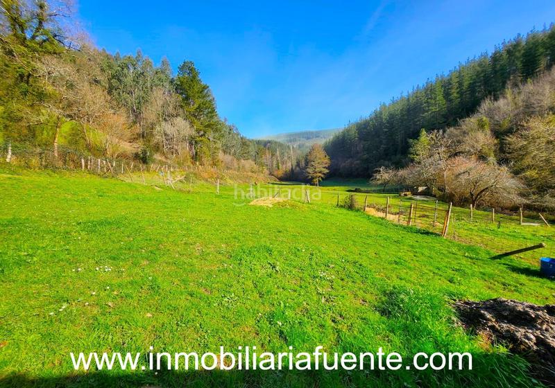 Foto 42406be8-66d5-40a0-9fff-1d969476656c. Finca rústica a Zalla