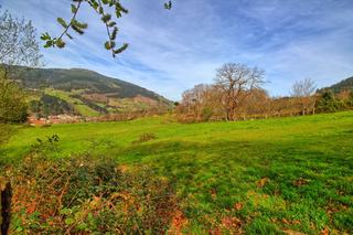 Finca rústica  Barrio arbiz. Terreno rustico en balmaseda