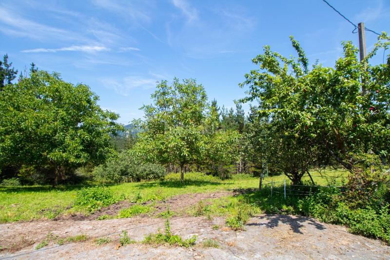 Foto 5b05384c-c79a-4472-a3e1-5cd9d1f5d08c. Casa baserri con 9.000 metos de terreno en Markina - Xemein