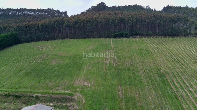 Foto 081d9a52-0cf9-48b3-9070-4230928b0d5d. Chalet exclusiva explotación agrícola en venta 15 hectáreas de producción y privacidad absoluta en Mungia