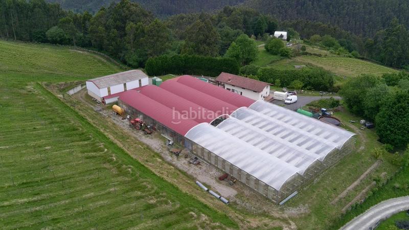 Foto a040d7fd-1af3-4e8c-a03a-5fe2b85ccb82. Chalet exclusiva explotación agrícola en venta 15 hectáreas de producción y privacidad absoluta en Mungia