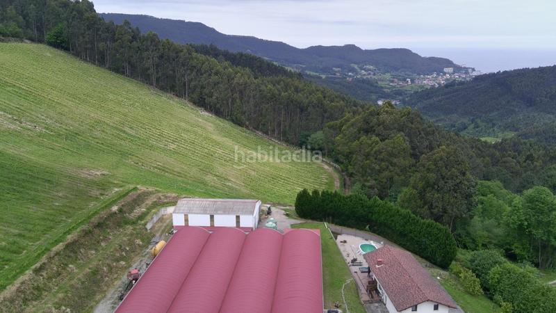 Foto a2e04dfc-ac3b-4594-a7c6-7986afd6ba1e. Chalet exclusiva explotación agrícola en venta 15 hectáreas de producción y privacidad absoluta en Mungia