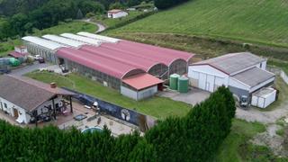 Finca rústica  Calle bakio bidea. Exclusiva explotación agrícola en venta  15 hectáreas de producc