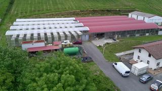 Finca rústica  Calle bakio bidea. Exclusiva explotación agrícola en venta  15 hectáreas de producc
