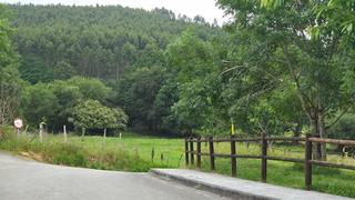 Finca rústica  Calle san roque. Amplio terreno rural en barcena de cicero  oportunidad única