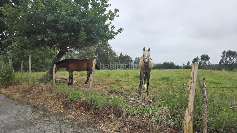 Foto fb6895a9-2fc8-4365-a7fe-651664dae781. Finca rústica a Bárcena de Cicero