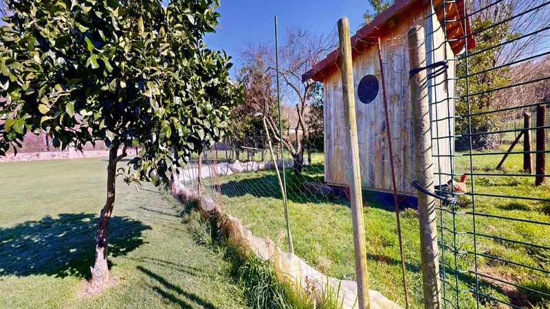 Foto bc919660-e4cc-4d2b-bf8a-4777c1b0ebc8. Xalet a Saro