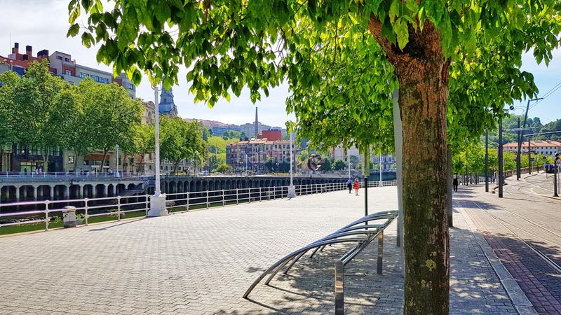 Foto 8f22b954-1d55-48f1-ad9d-16c659a7ca07. Pis a Albia Bilbao