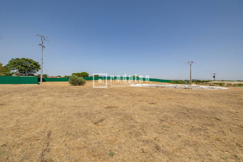Foto b3163907-723a-413b-966a-6a70aa1dfd64. Xalet a Álamo (El)