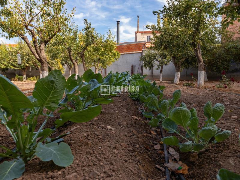 Foto 16c84475-41c8-43ad-8683-a74271e766d9. Location chalet avec chauffage parking piscine dans Madridejos