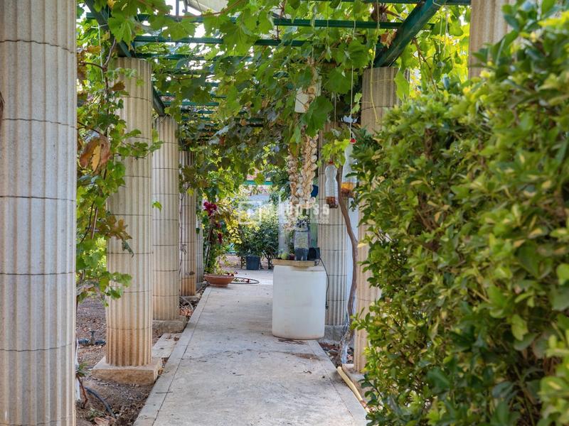 Foto 4b7a4c0f-4b14-42ea-8151-018e992a5d2a. Location chalet avec chauffage parking piscine dans Madridejos