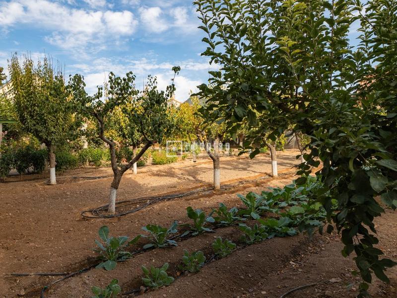 Foto 8d3db6f0-ed9f-41ee-9f2e-73bf94b594c7. Location chalet avec chauffage parking piscine dans Madridejos