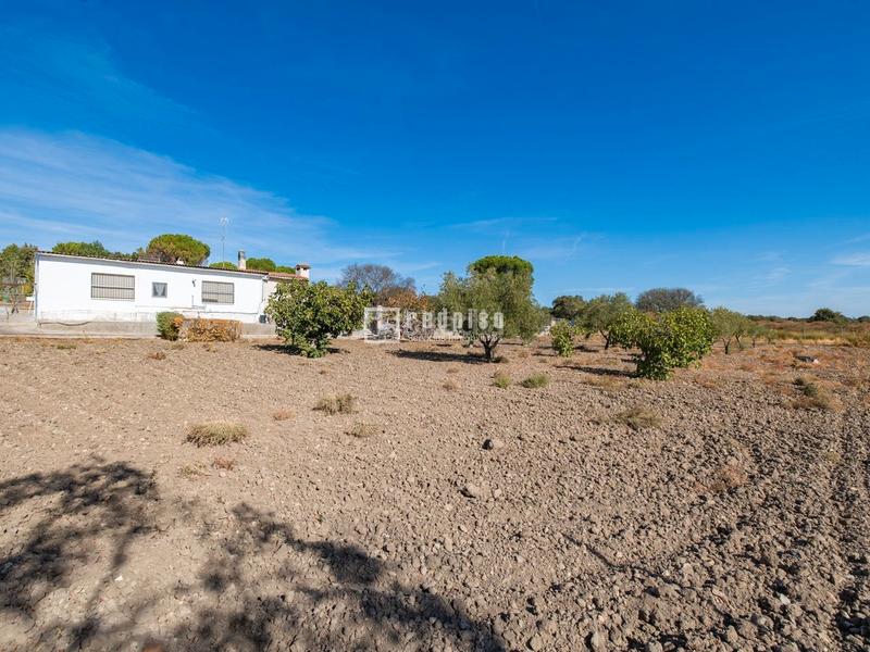 Foto 958e71a4-d0b2-4503-9acc-d33405800a5f. Casa  independiente con terreno en Villa del Prado