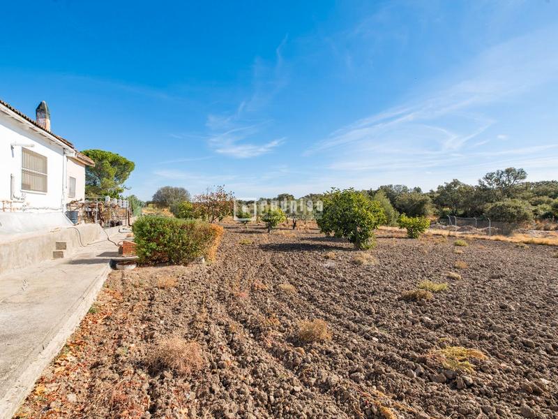 Foto f54985c4-3340-430b-a5b0-9f65e182d24e. Casa  independiente con terreno en Villa del Prado