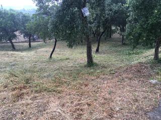Finca rústica a Bescanó. Terreny amb vistes a lurbanitzacio mas llunes