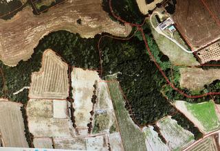 Rural plot in Cruïlles, Monells i Sant Sadurní de l´Heura. Parcela rústica de 21.264m2 a monells girona