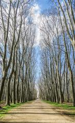 Pis a Eixample Nord. Pis de 71m2 al costat de plaa 1 doctubre  girona