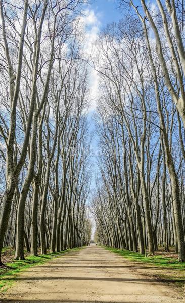 Foto 5f804a25-1c52-4df1-804d-7df7d4cd68f8. Alquiler piso pis temporal de 88 m a fontajau domeny. en Girona