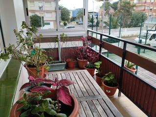 Appartement à Calle república de costa rica 17. Piso de 2 habitaciones en urbanizacion privada con piscina,a 300