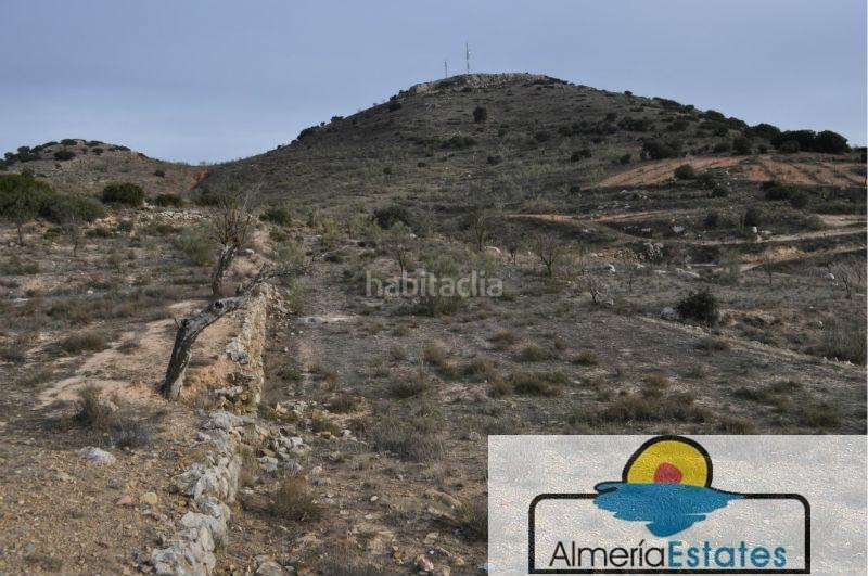 Foto cf6d7eb9-01a0-4e05-8f9a-2093cb4d8fcc. Chalet villa en Chirivel