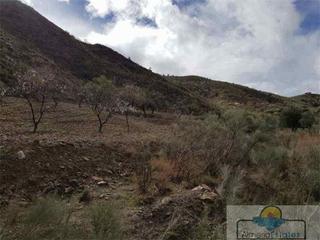 Mas à Albánchez. Albánchezfinca rustica