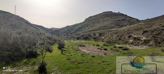 Masia a Olula del Río. Olula del ríofinca rustica