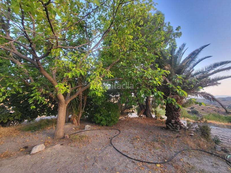 Foto 2345e31c-4de2-489c-af94-8332b3ac61e1. Casa in Albox