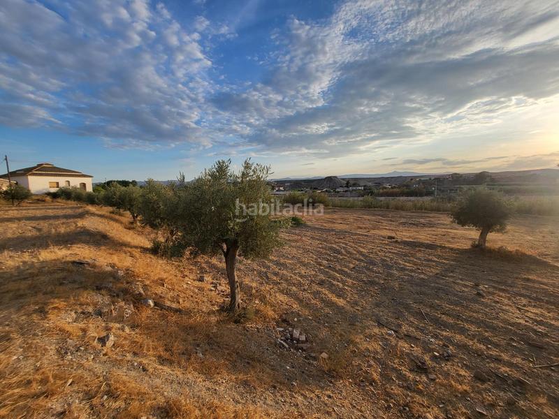 Foto 1c3e1fd0-7482-4b34-8e34-598418446d85. Chalet in Albox