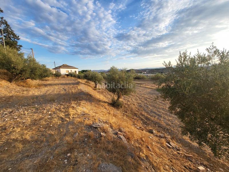 Foto 675b0736-c56c-4895-b10b-ddb5e70c0a1e. Chalet in Albox