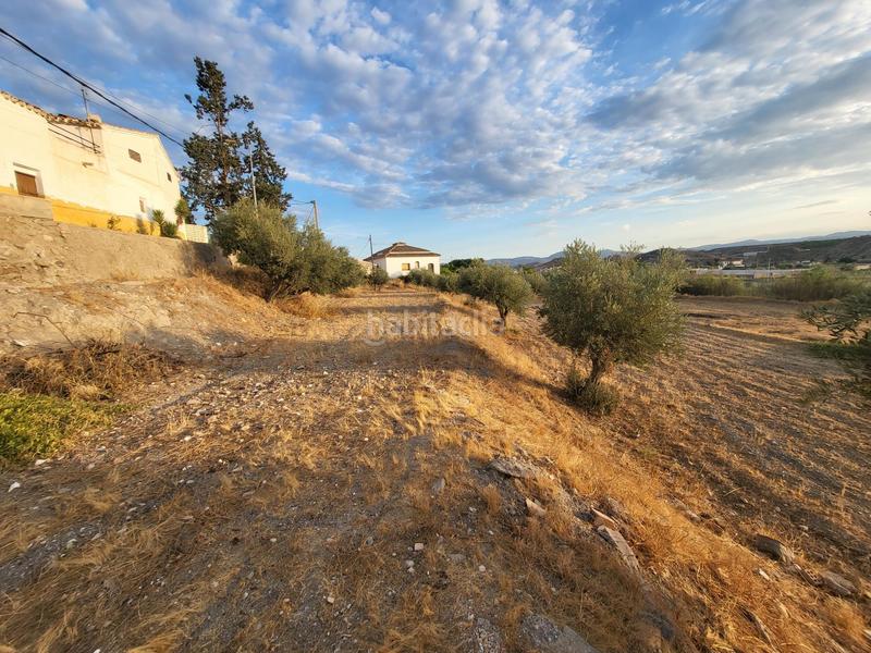 Foto 980b1c5c-8511-4ede-938e-ac5066008bff. Chalet in Albox