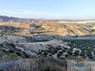 Terreny residencial a Fines. Finesterreno