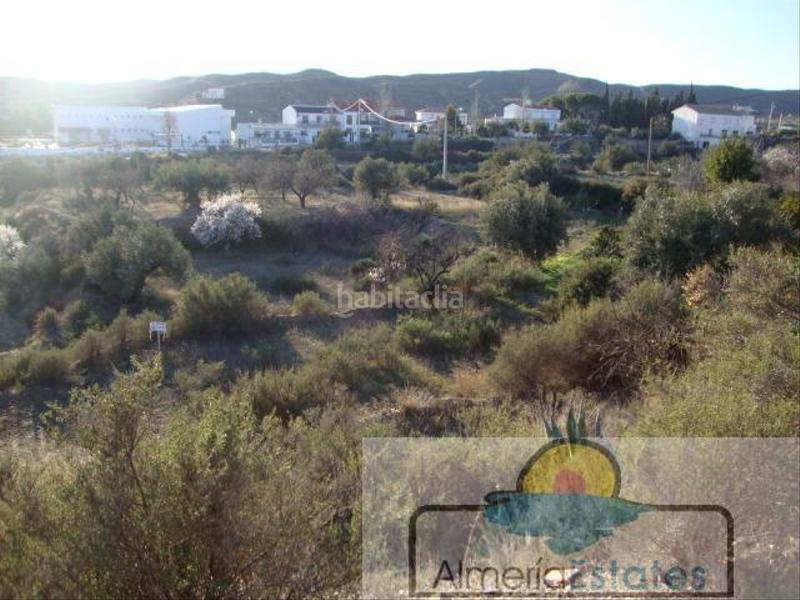 Foto 7512405d-ee57-4a60-a71f-777ac190c26d. Terreny residencial a Taberno