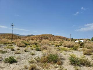 Terreny residencial a Cantoria. Cantoriaterreno