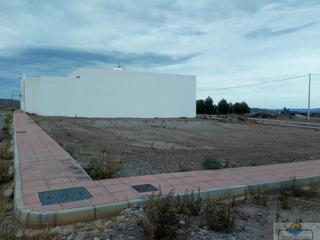 Terreny residencial a Albox. Tabernoterreno