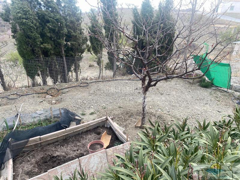 Foto 4bb9ea6f-fdc2-4f16-89af-b196dad92d8c. Miete bauernhof in Vélez - Rubio