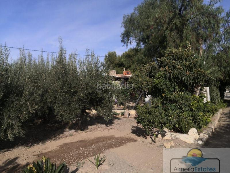 Foto fcec8f73-8fcd-434f-843c-2e2ce87a1679. Alquiler chalet villa en Albox