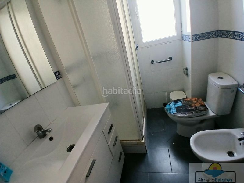 Foto dfc8174c-3809-4254-9612-672ae2fc817e. Pis a Albox